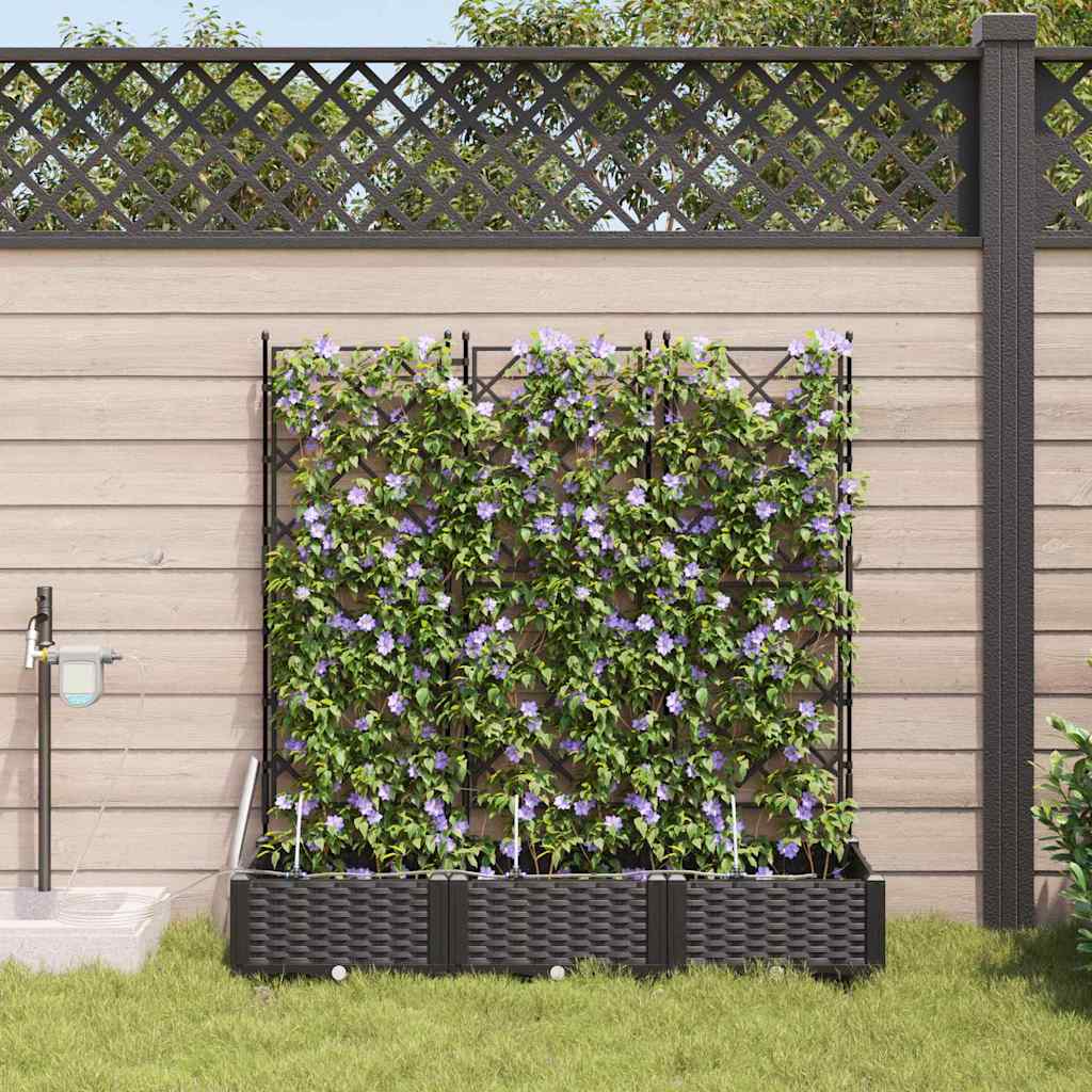 Aia istutuspot 3 tk Must 120 x 40 x 126 cm PP