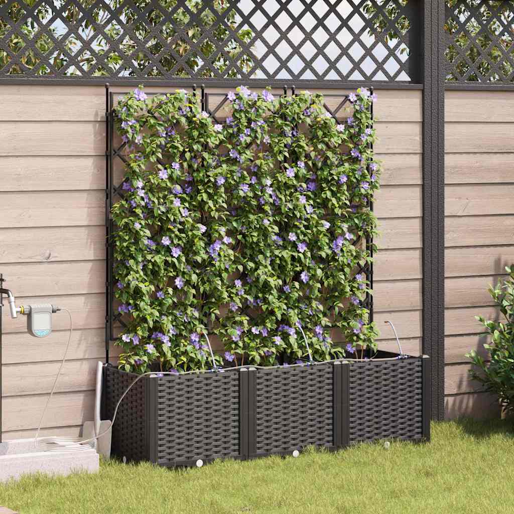 Aia istutuspot 3 tk Must 120 x 40 x 142 cm PP