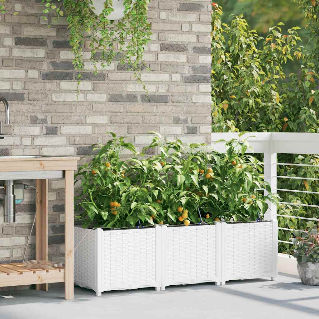Aia istutuspot 3 tk Valge 120 x 40 x 37,5 cm PP