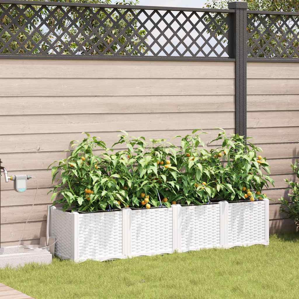 Aia istutuspot 4 tk Valge 160 x 40 x 37,5 cm PP