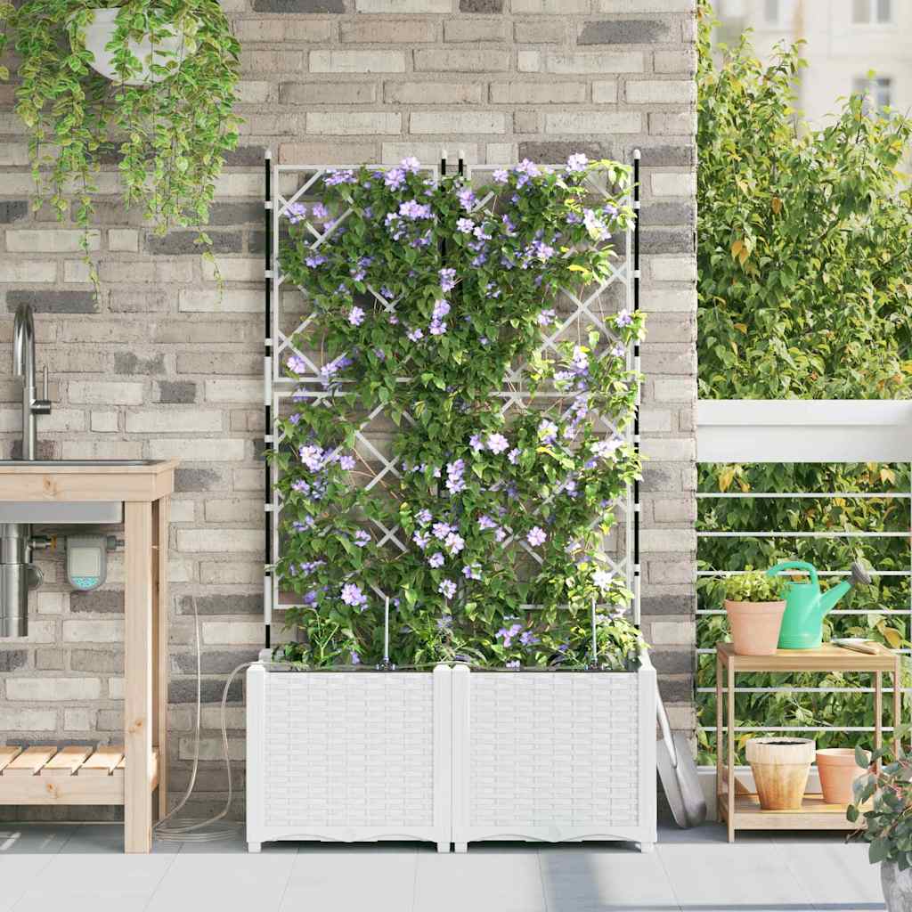Aia istutuspot 2 tk Valge 80 x 40 x 142 cm PP