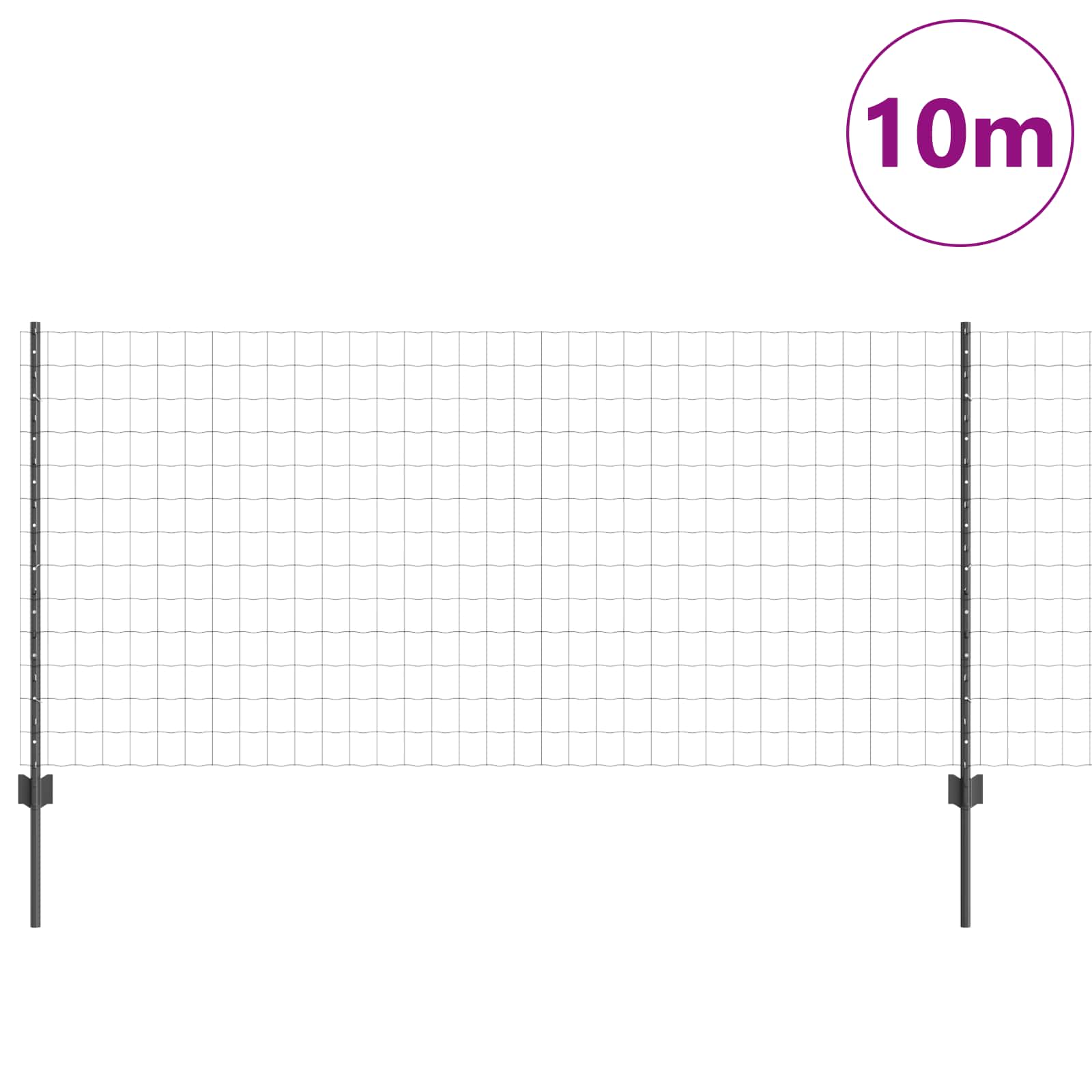 Euro aia postiga 10 x 1 m PVC-kaetud teras Hall Võrk