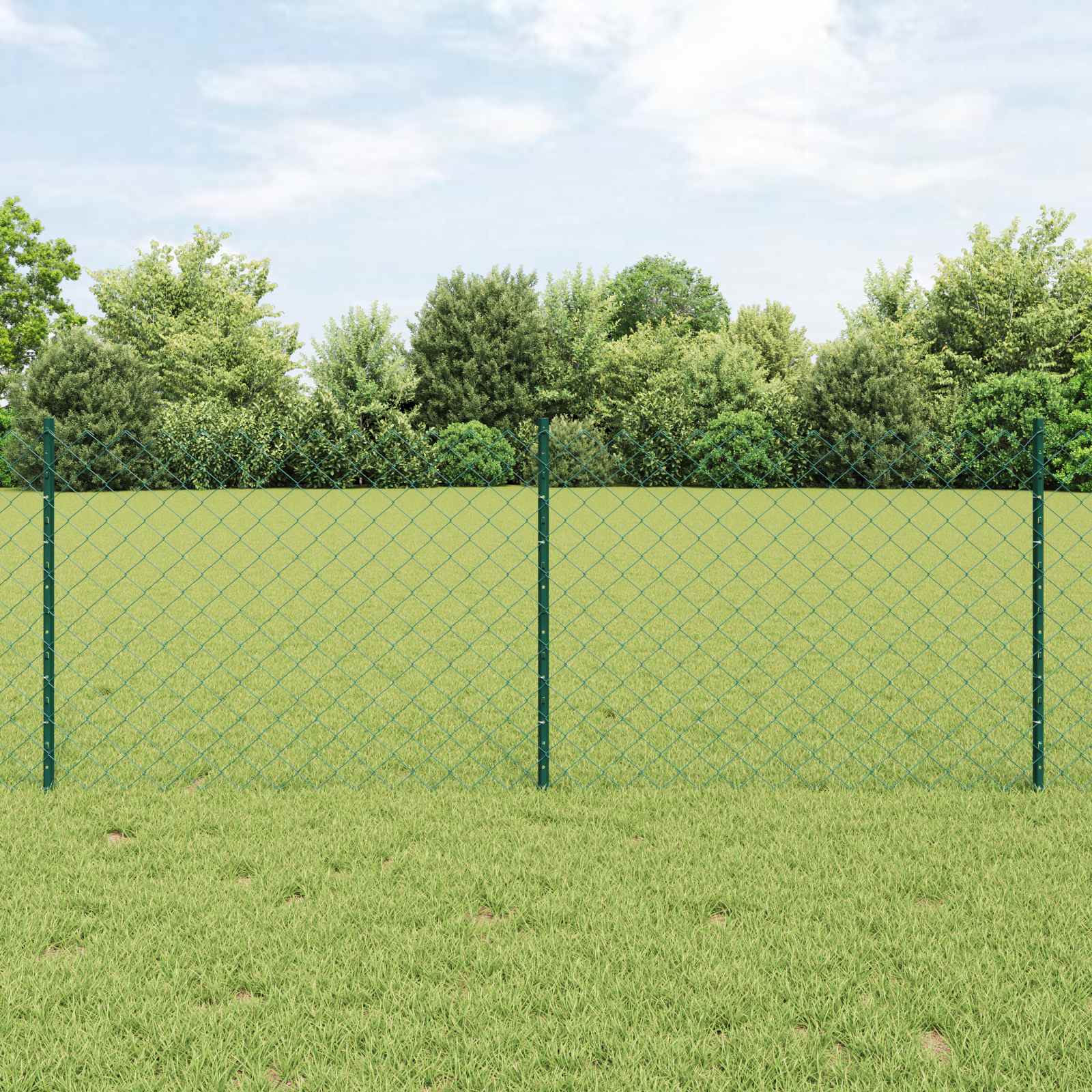 Võrkaed koos postiga 10 x 0,8 m PVC-kaetud teras Roheline Võrk
