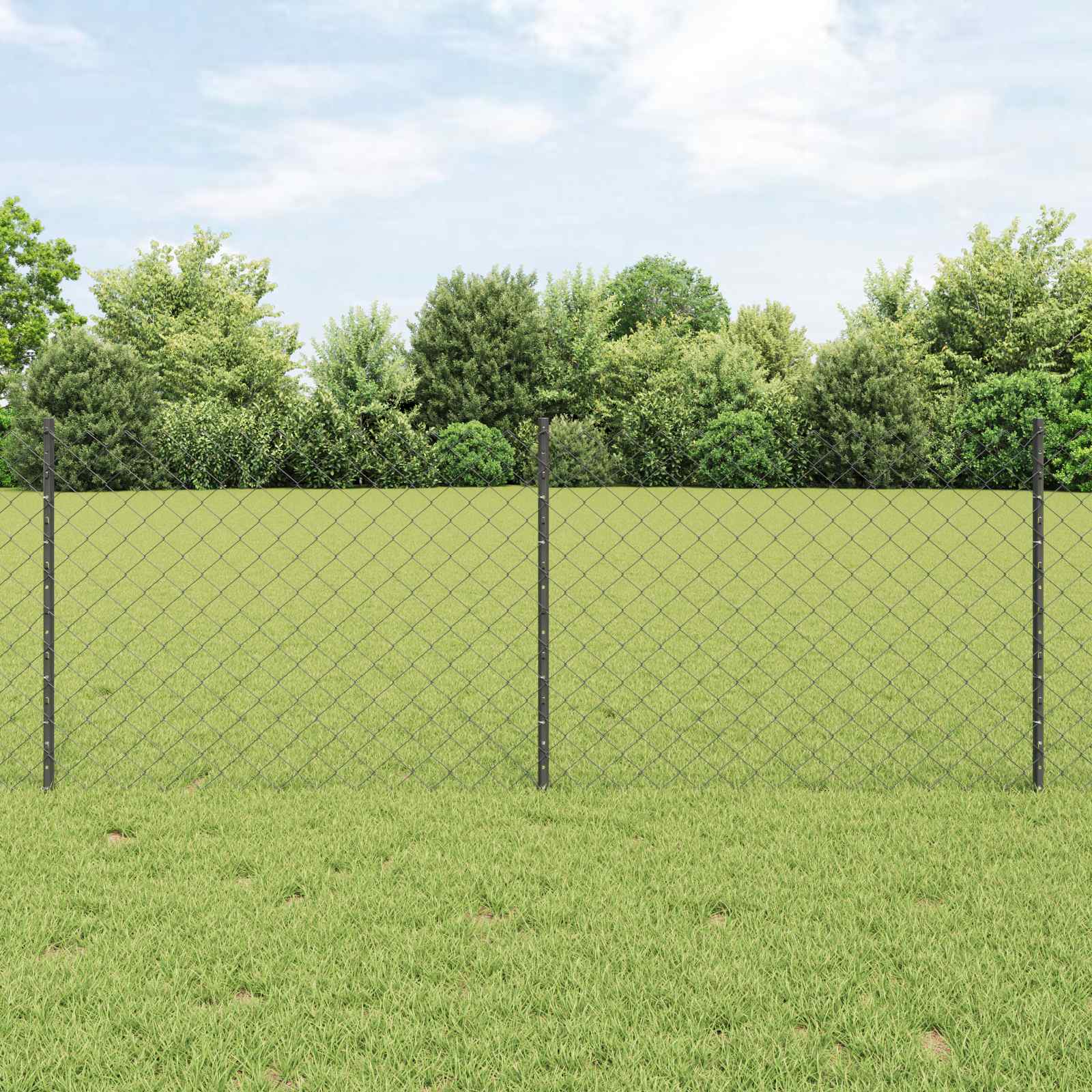 Võrkaed koos postiga 25 x 0,8 m Tsingitud teras Hall Võrk