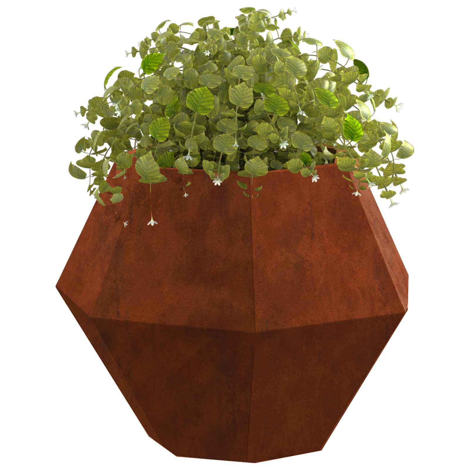 Taimekast 2 tk Rooste 50 x 50 x 40 cm Ilmastikukindel teras
