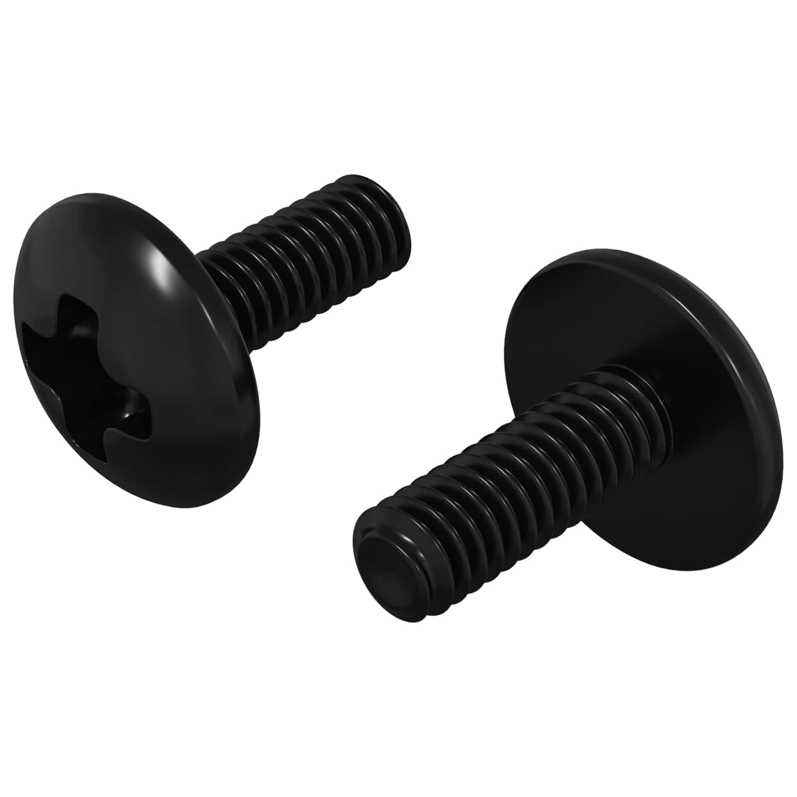 Sleeve kruvid 2 tk Must M4 x 10 mm Teras