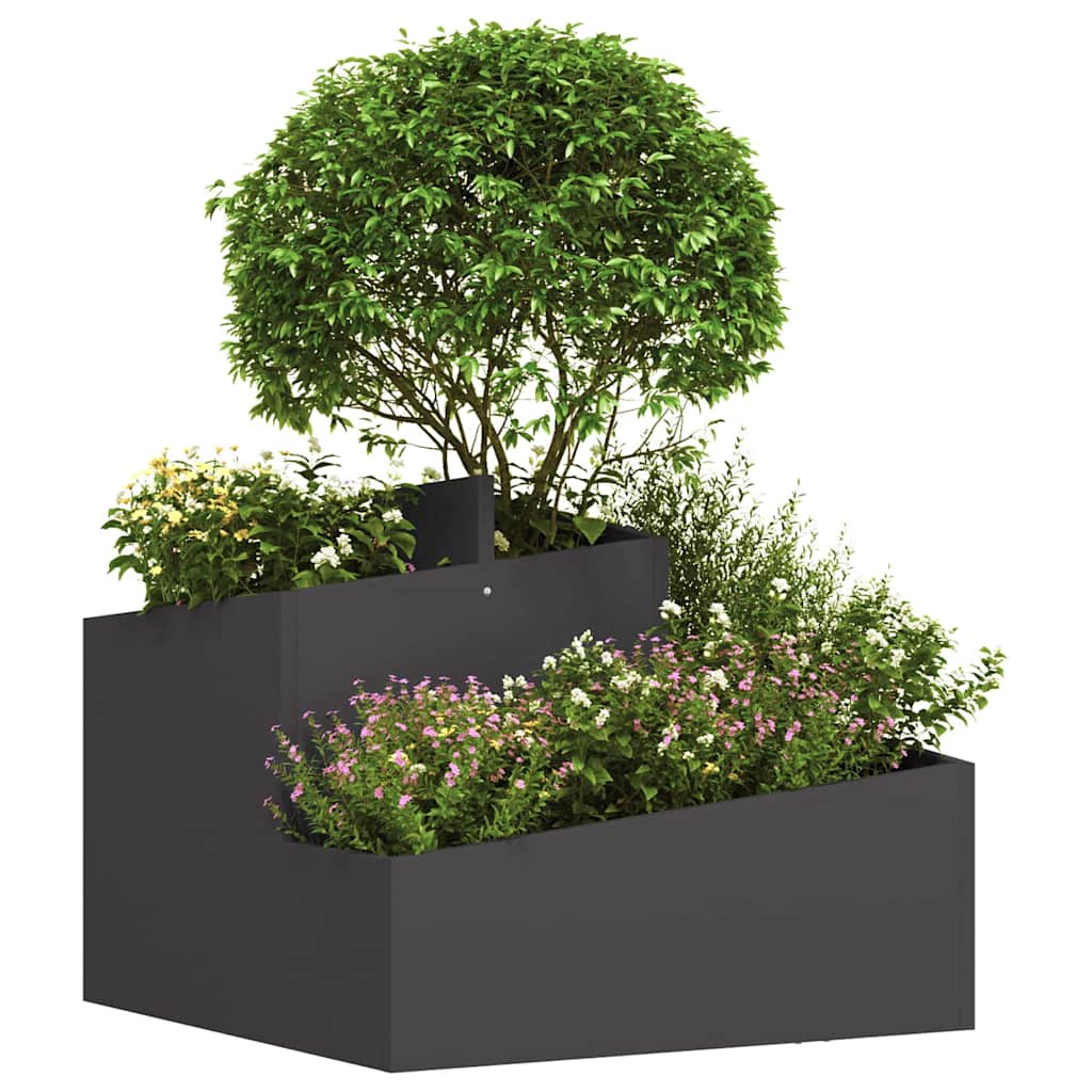 Aia istutuspot Must 60 x 60 x 50 cm Külmvalmistatud teras