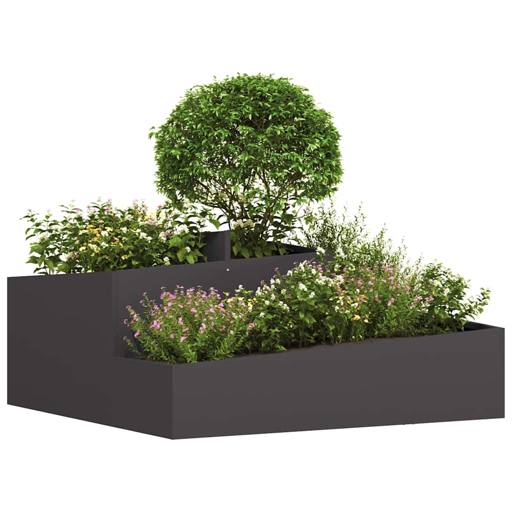 Aia istutuspot Must 100 x 100 x 50 cm Külmvalmistatud teras