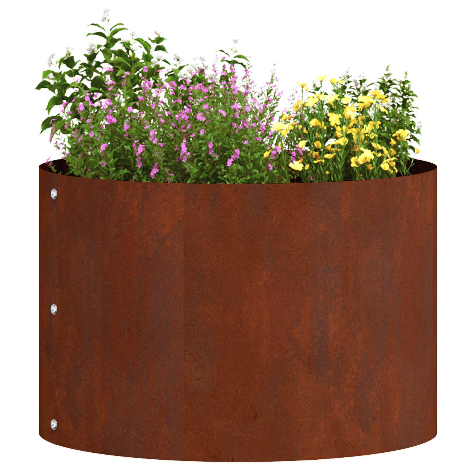 Istiku rõngas 5 tk Rooste 30 x 30 x 20 cm terase tüüp