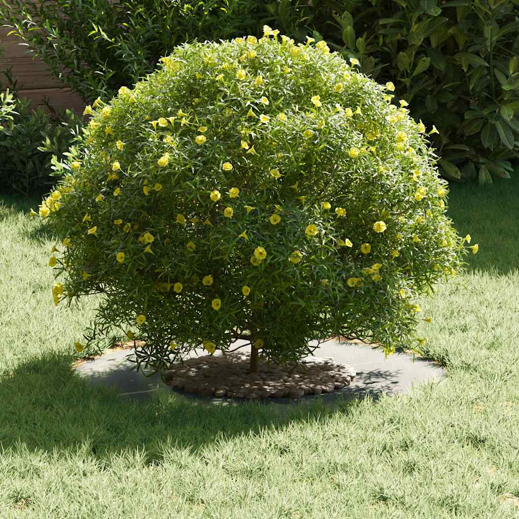 Sobiv lame puu rõngaste jaoks 5 tk Hõbedane Ø30/60 cm