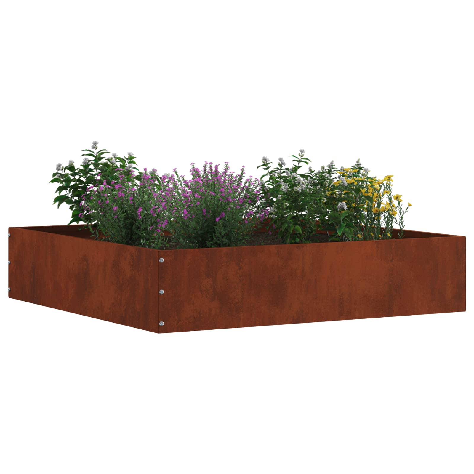Murupiire 60 x 60 x 13 cm Rooste