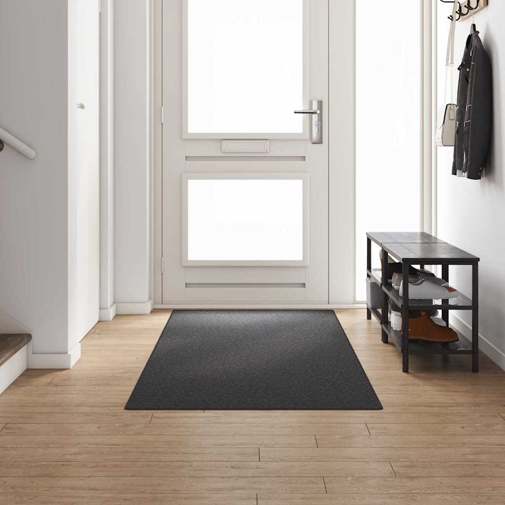 Vaip jooksur Tumehall 100 x 300 cm 100% polüpropüleen