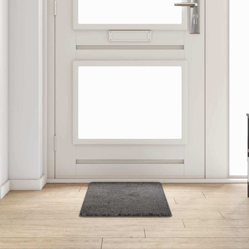 Vaip jooksur Hall 50 x 100 cm 100% polüpropüleen tuft