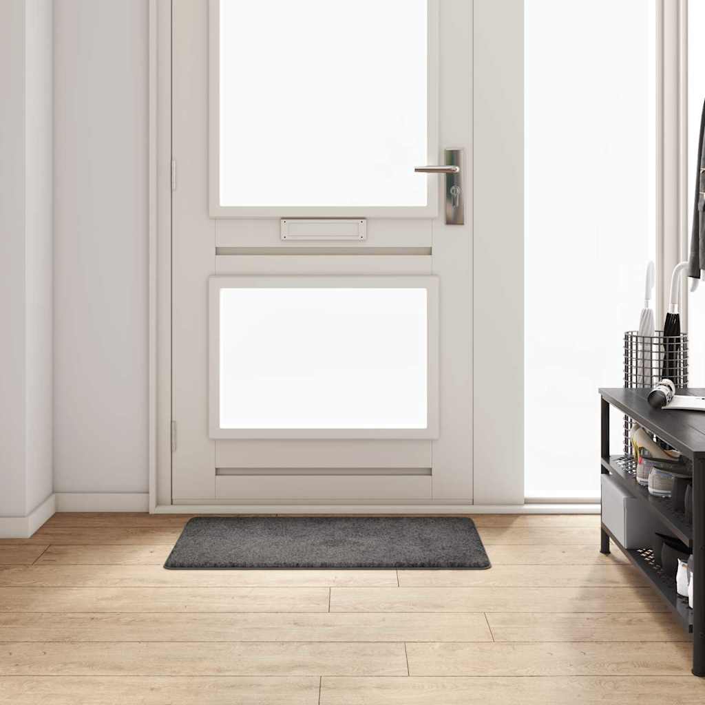 Vaip jooksur Hall 50 x 100 cm 100% polüpropüleen tuft