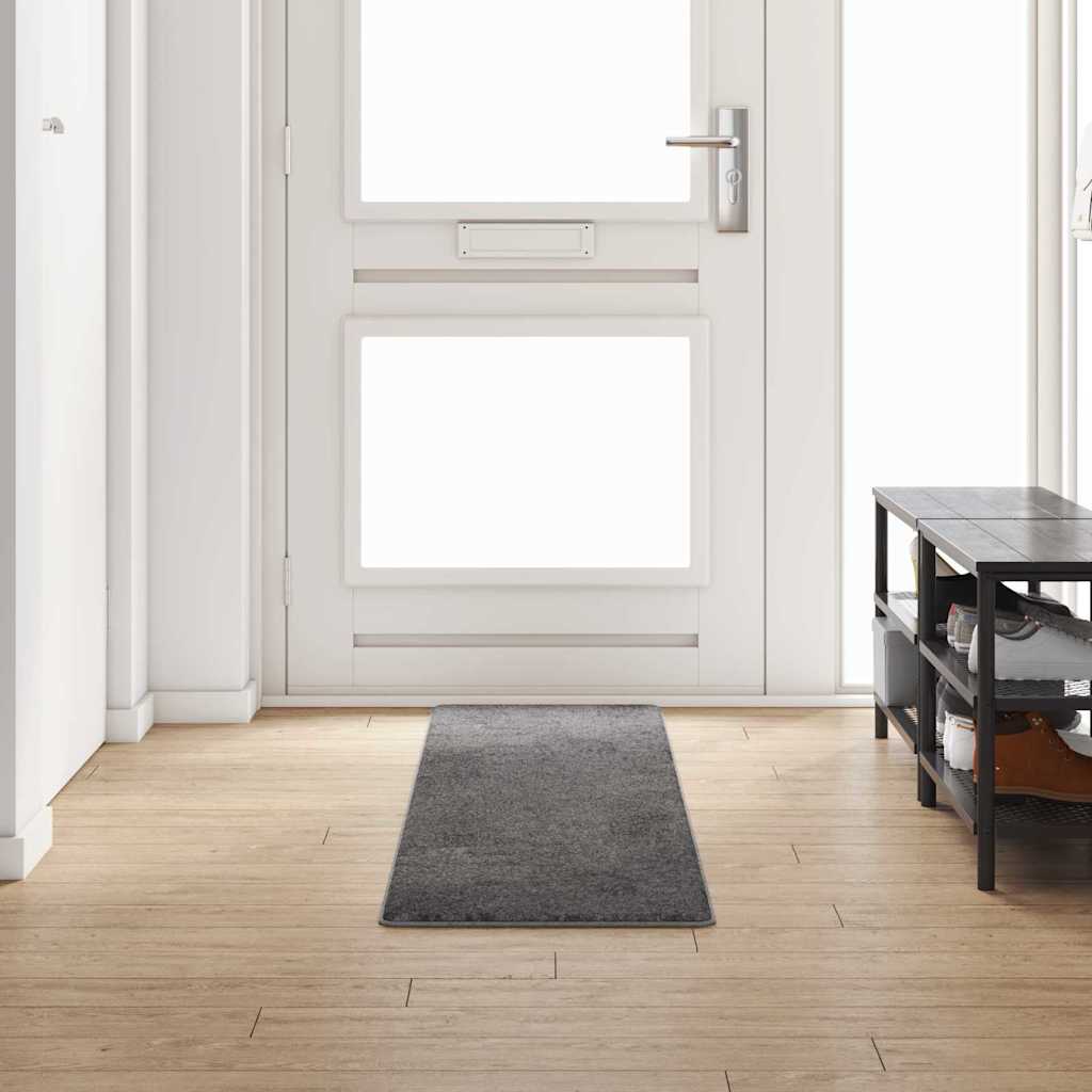 Vaip jooksur Hall 50 x 250 cm 100% polüpropüleen tuft