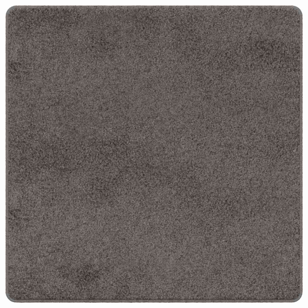 Vaip jooksur Hall 100 x 100 cm 100% polüpropüleen tuft