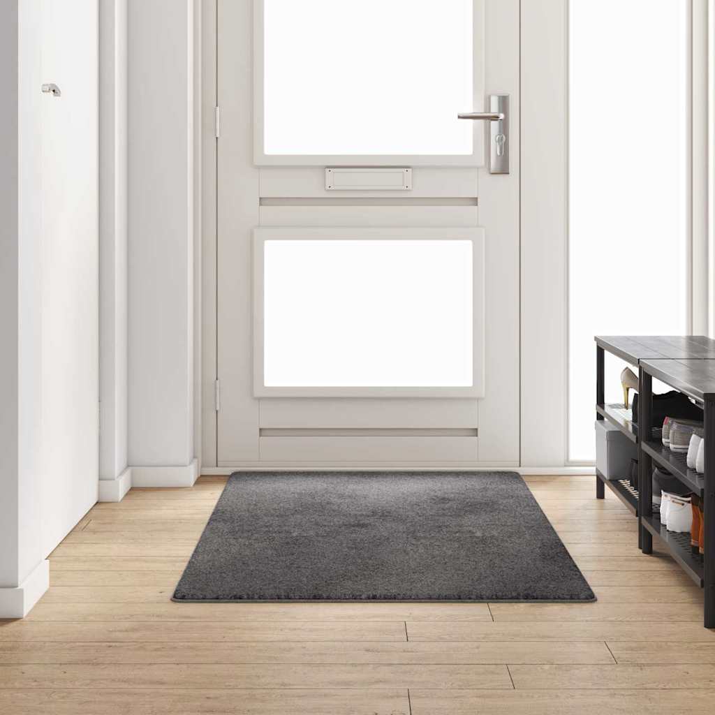 Vaip jooksur Hall 100 x 200 cm 100% polüpropüleen tuft