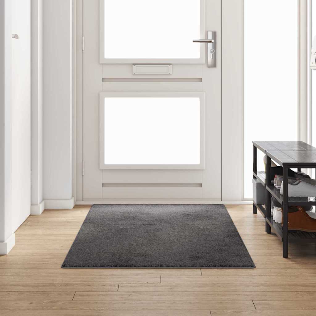 Vaip jooksur Hall 100 x 250 cm 100% polüpropüleen tuft