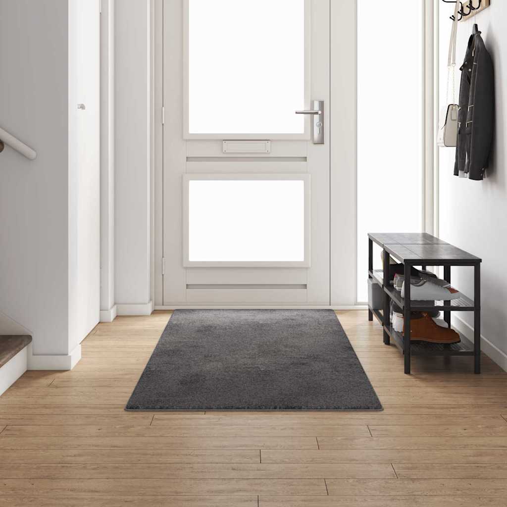 Vaip jooksur Hall 100 x 300 cm 100% polüpropüleen tuft