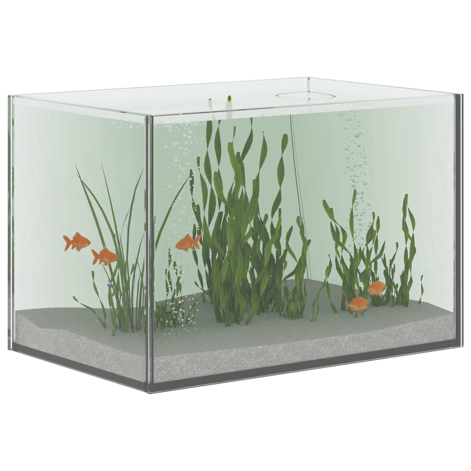 Akvaarium ladustamisega Läbipaistev 30 x 20 x 20 cm Klaas