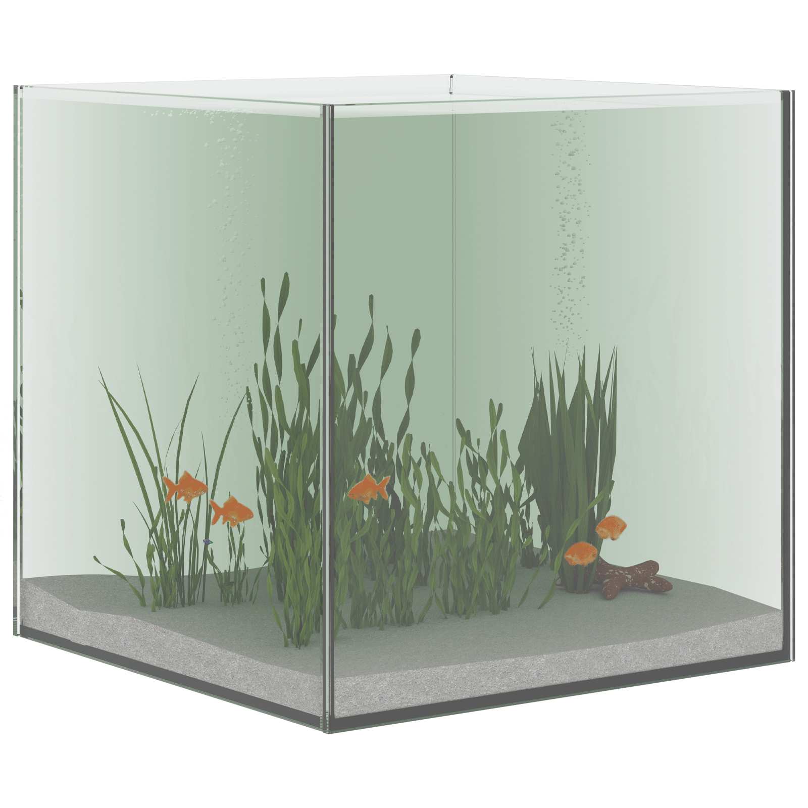 Akvaarium ladustamisega Läbipaistev 30 x 30 x 30 cm Klaas