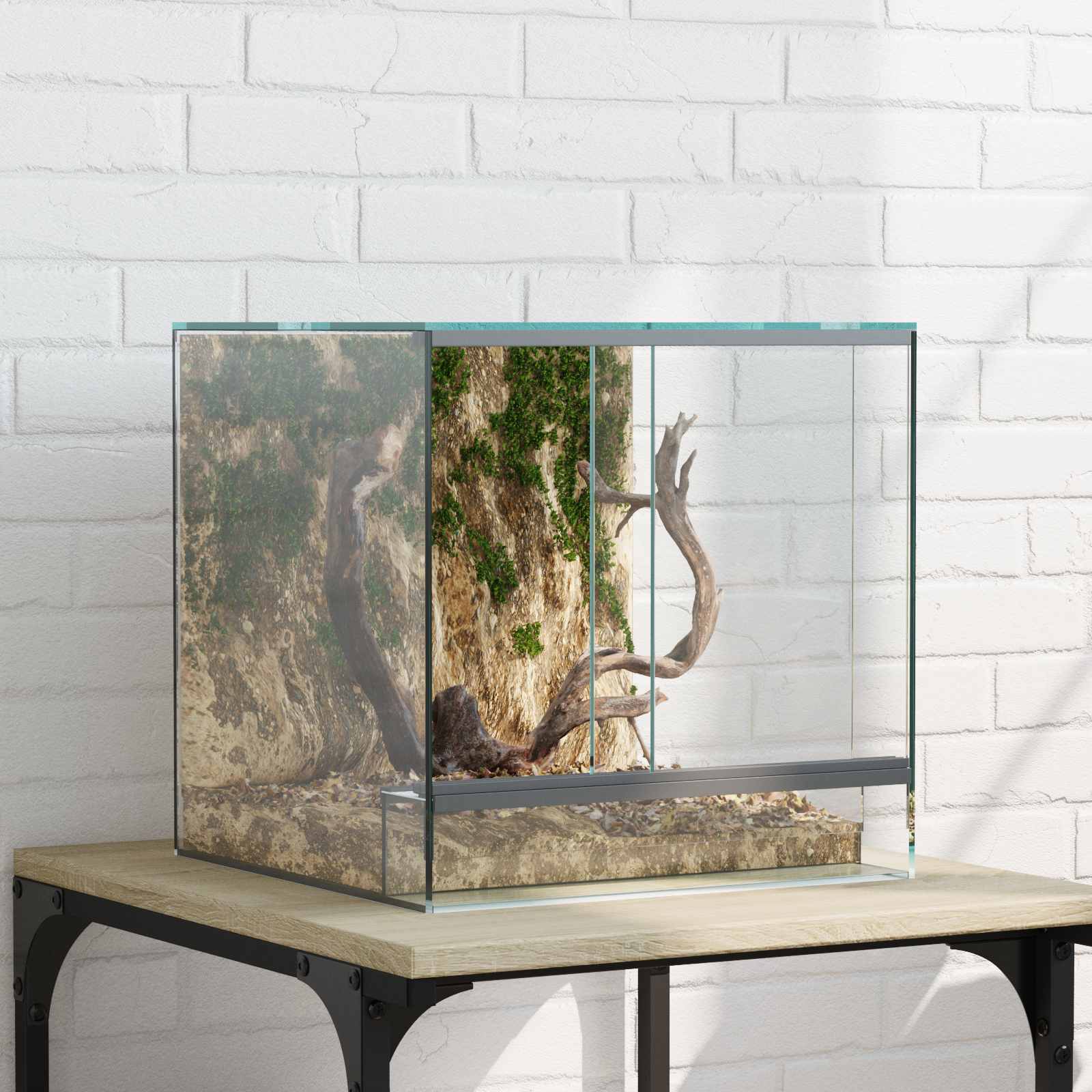 Terrarium ladustamisega Läbipaistev 30 x 30 x 30 cm Klaas