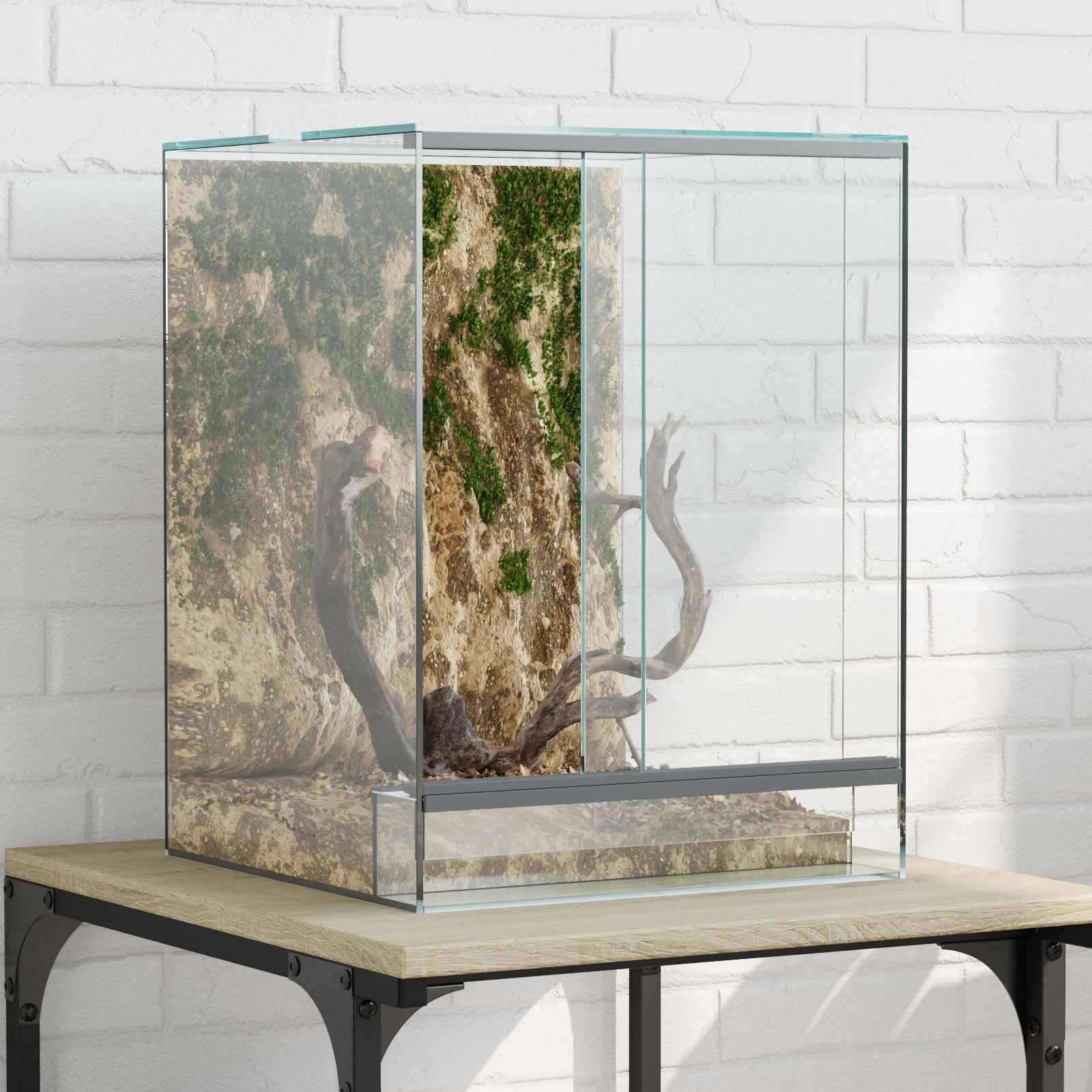 Terrarium ladustamisega Läbipaistev 30 x 30 x 40 cm Klaas
