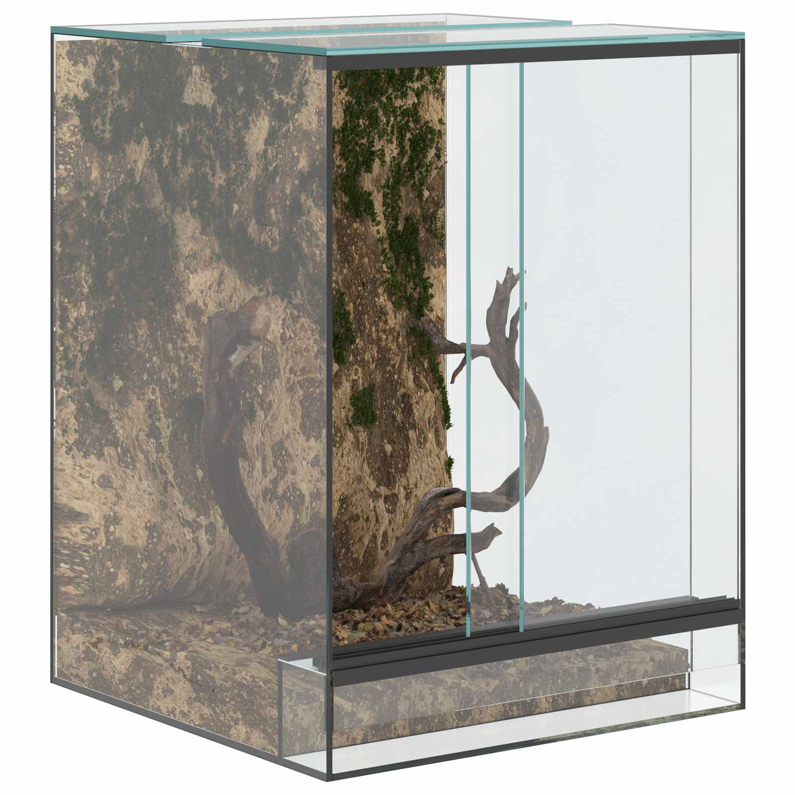 Terrarium ladustamisega Läbipaistev 30 x 30 x 40 cm Klaas