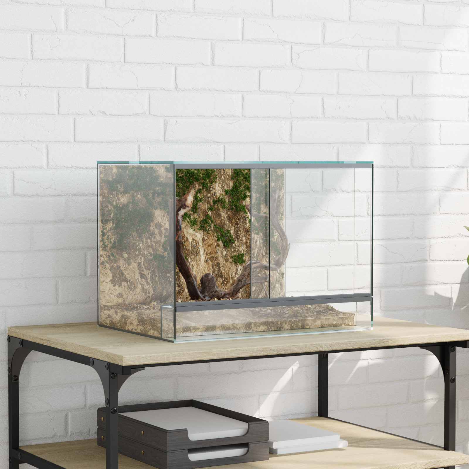 Terrarium ladustamisega Läbipaistev 40 x 30 x 30 cm Klaas
