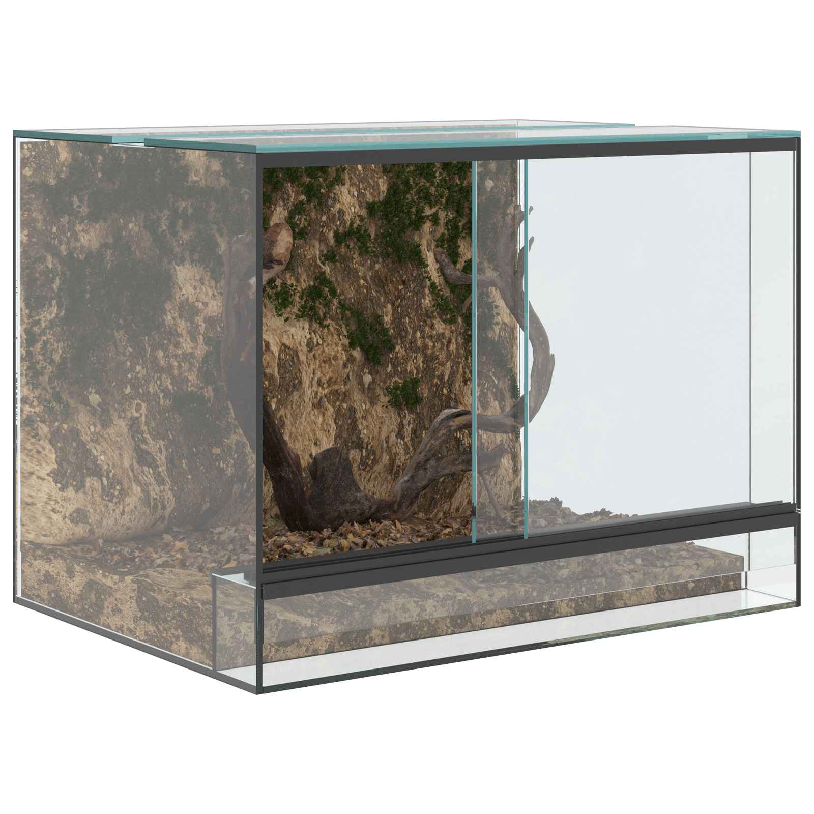 Terrarium ladustamisega Läbipaistev 40 x 30 x 30 cm Klaas