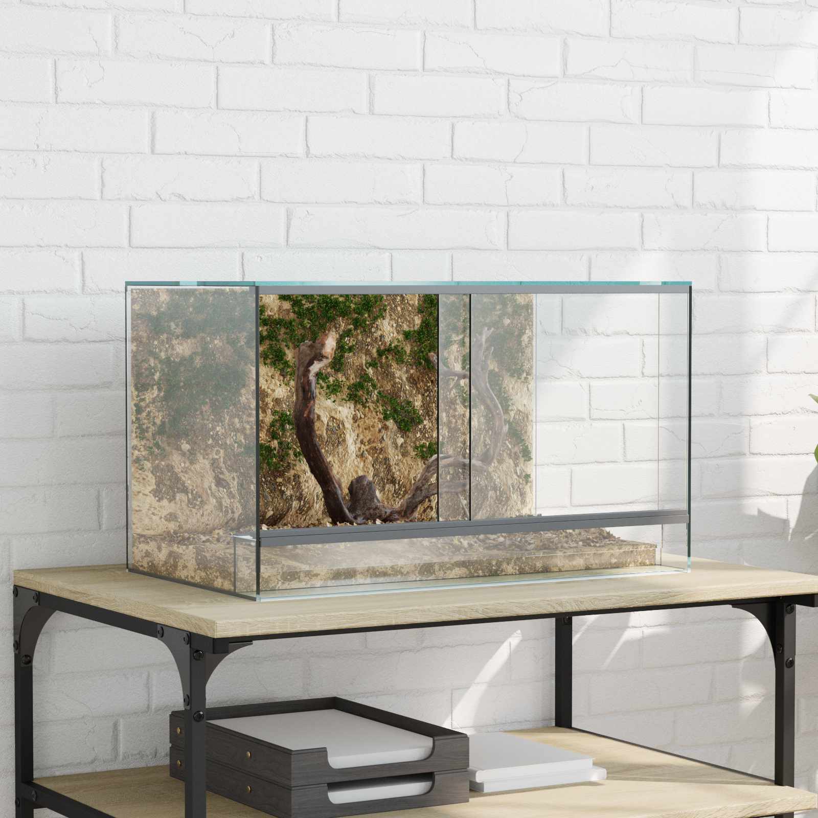 Terrarium ladustamisega Läbipaistev 50 x 30 x 30 cm Klaas