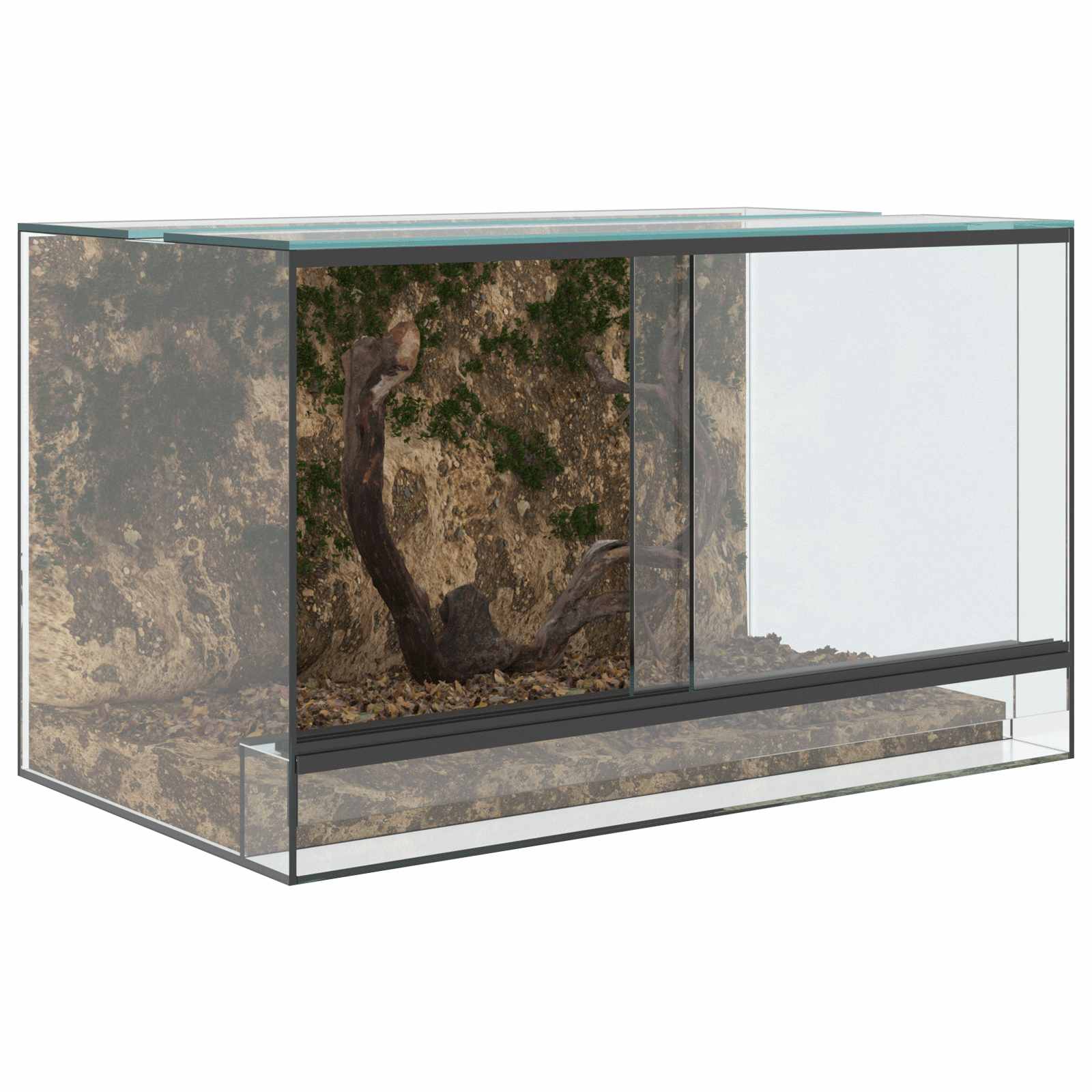 Terrarium ladustamisega Läbipaistev 50 x 30 x 30 cm Klaas