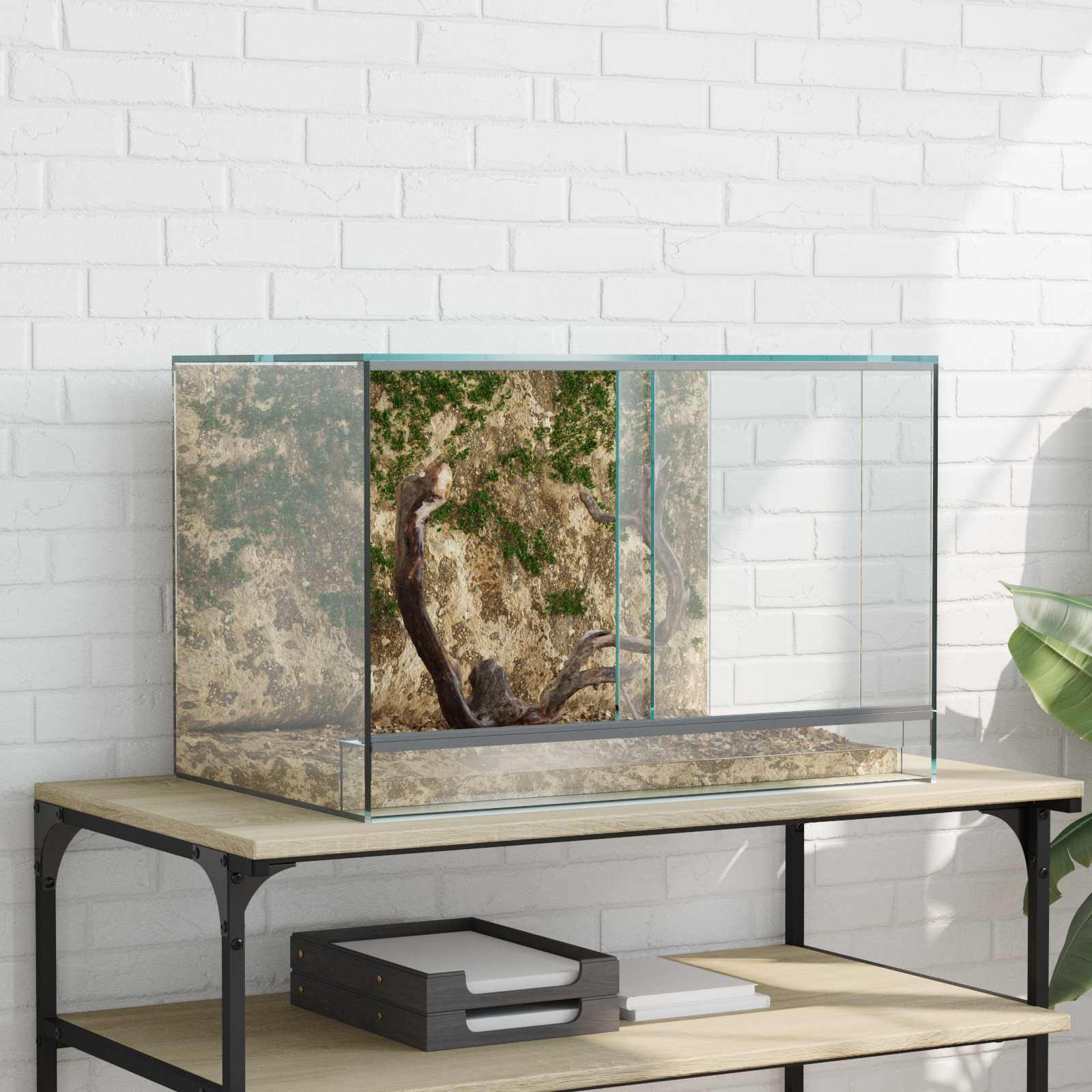Terrarium ladustamisega Läbipaistev 60 x 40 x 40 cm Klaas