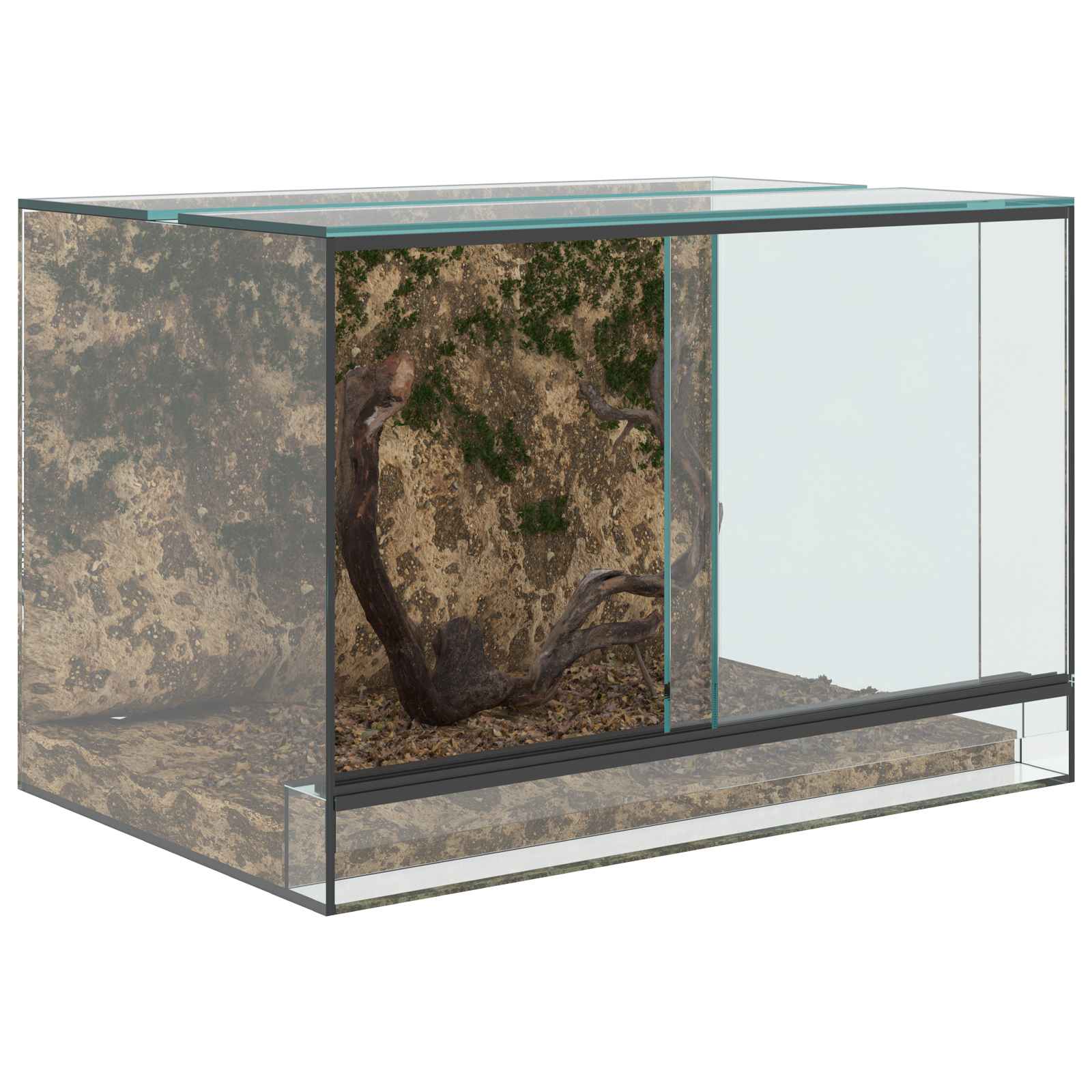 Terrarium ladustamisega Läbipaistev 60 x 40 x 40 cm Klaas