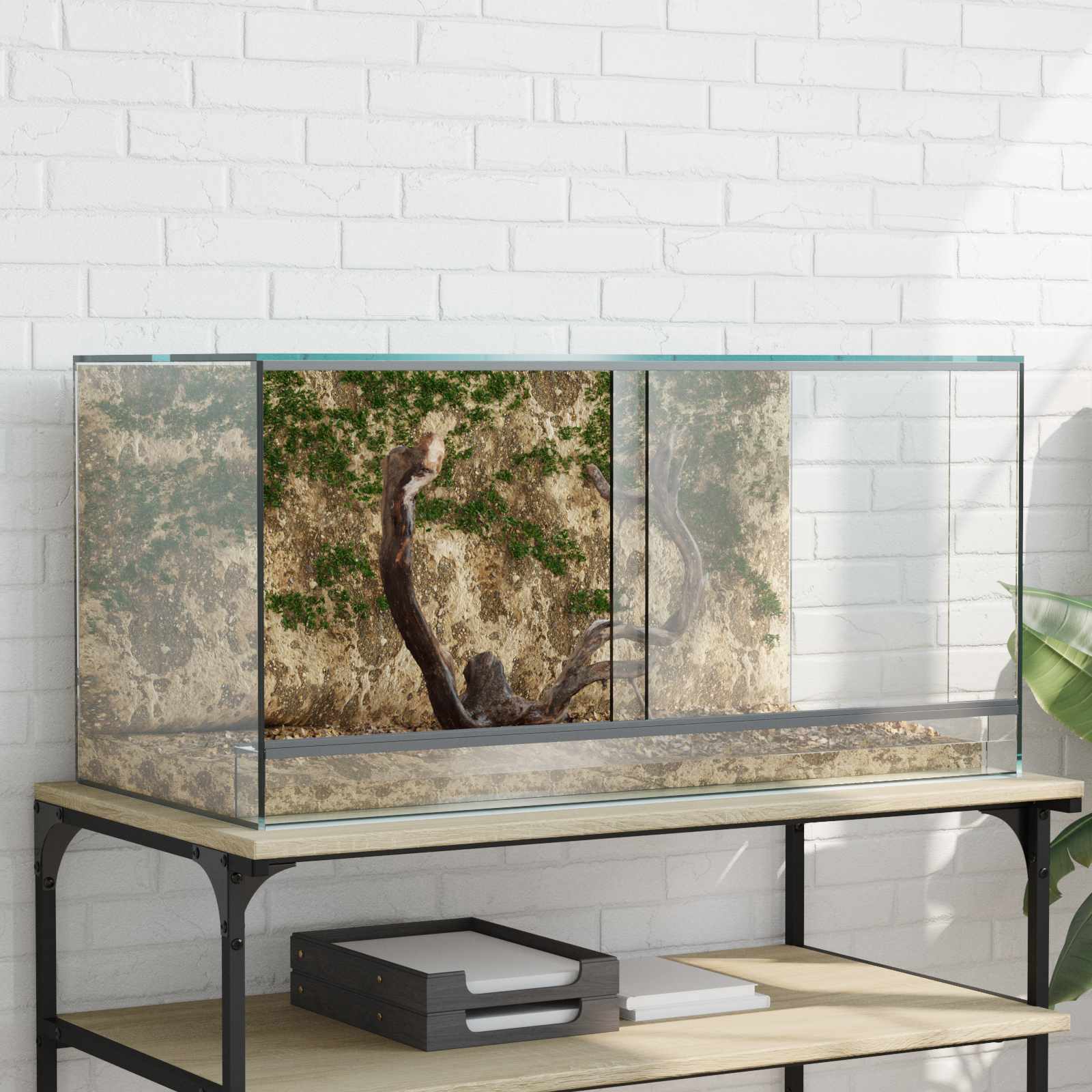 Terrarium ladustamisega Läbipaistev 80 x 40 x 40 cm Klaas