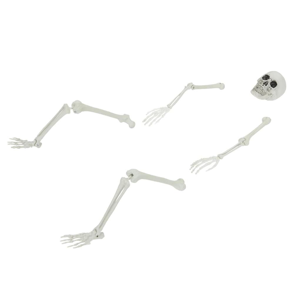 Halloween Skelett koos Maastepööristega Valge 45,5 x 13 cm