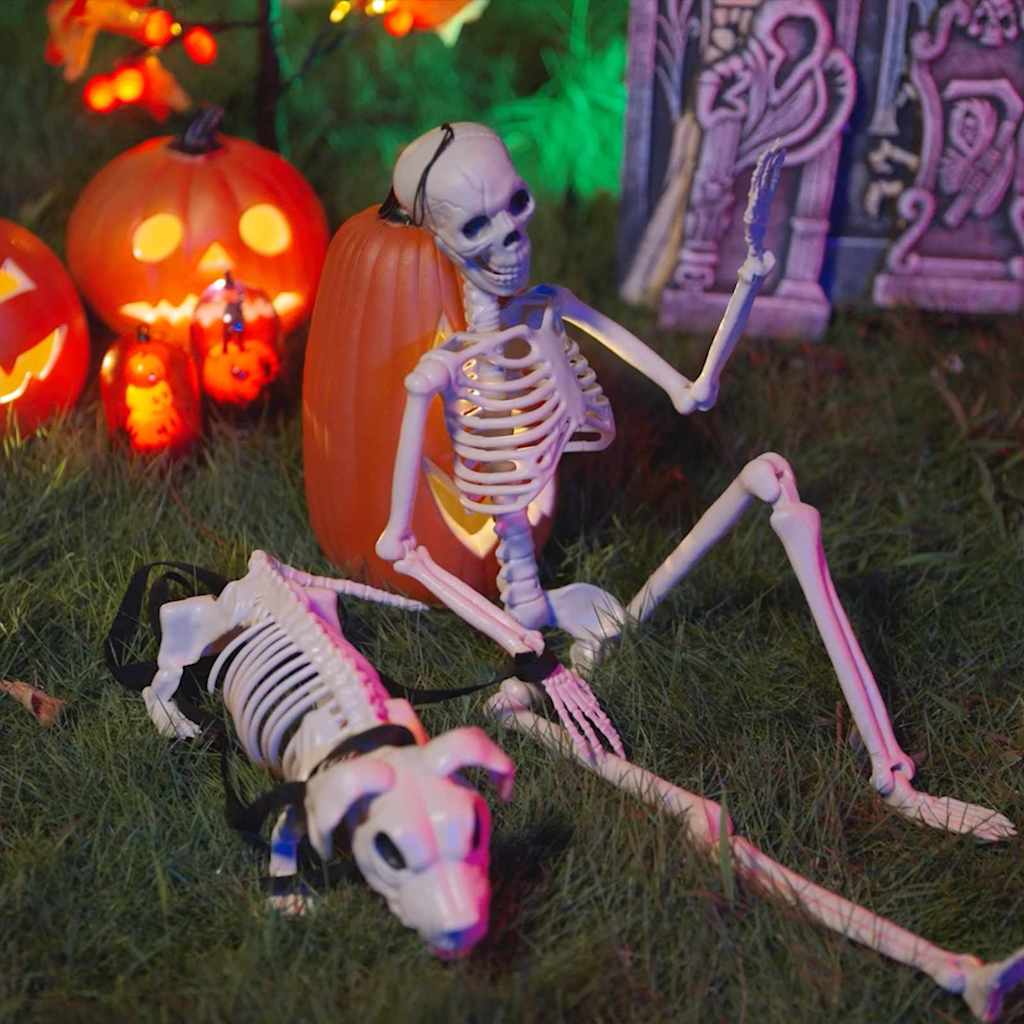 Halloweeni kaunistus -skelet 2 tk Valge 155 x 38.5 cm