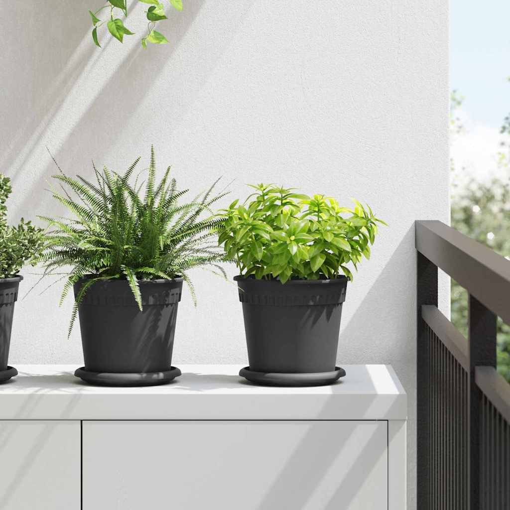 Ringikujuline Lilletaldrik 6 tk Must Ø 15,5 x 2 cm Plastmass