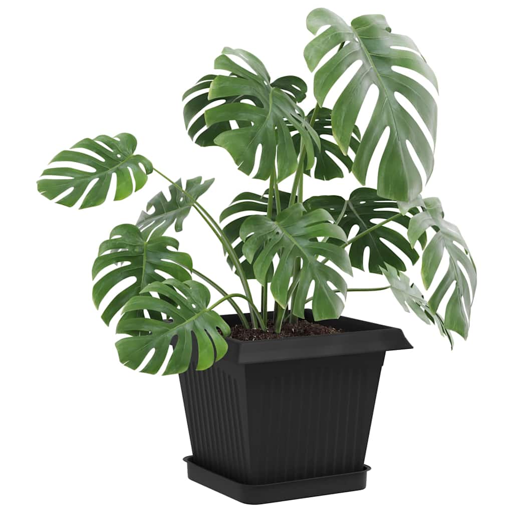 Ruudu kujuline lille alus 6 tk Must 15 x 15 x 2 cm Plastmass