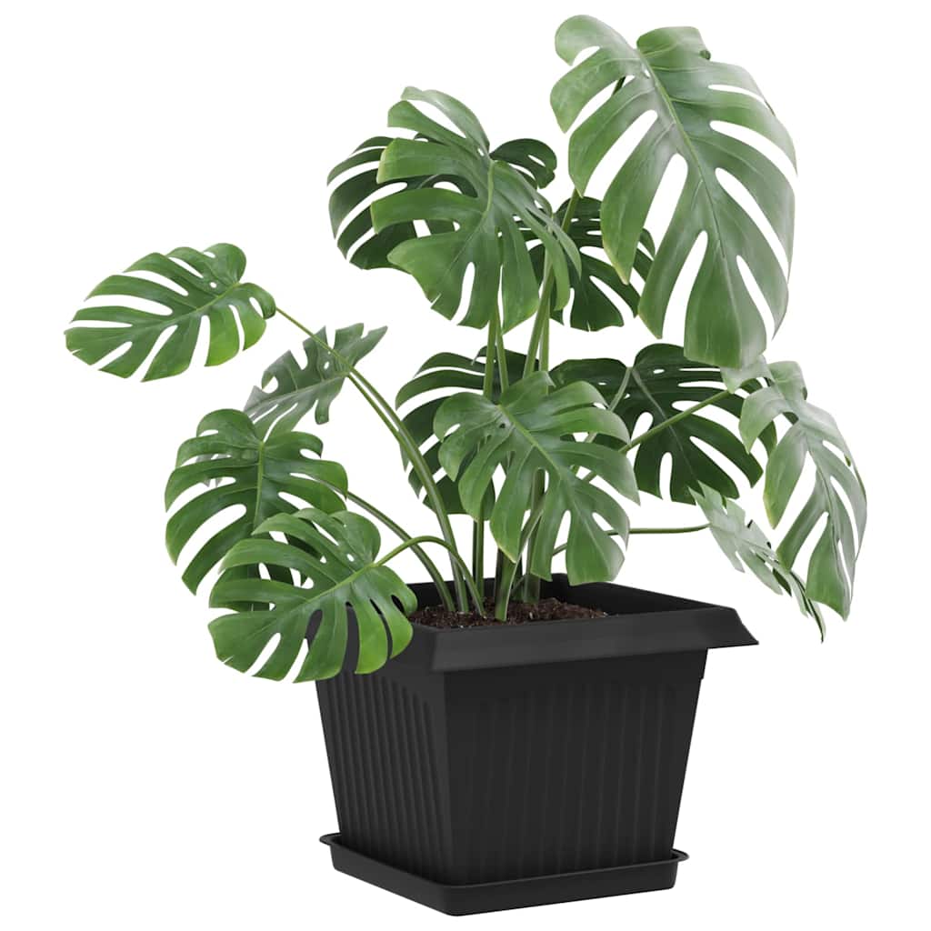 Ruudu kujuline lille alus 6 tk Must 18 x 18 x 2 cm Plastmass