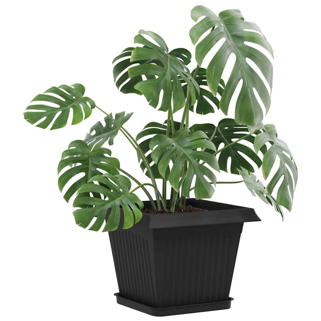 Ruudu kujuline lille alus 24 tk Must 21 x 21 x 2 cm Plastmass