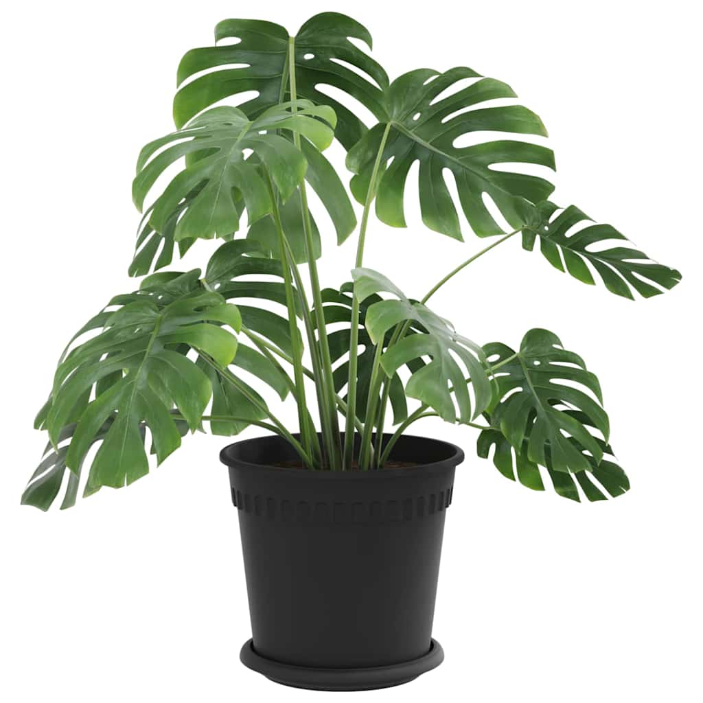 Taimepotid 24 tk Must Plastmass
