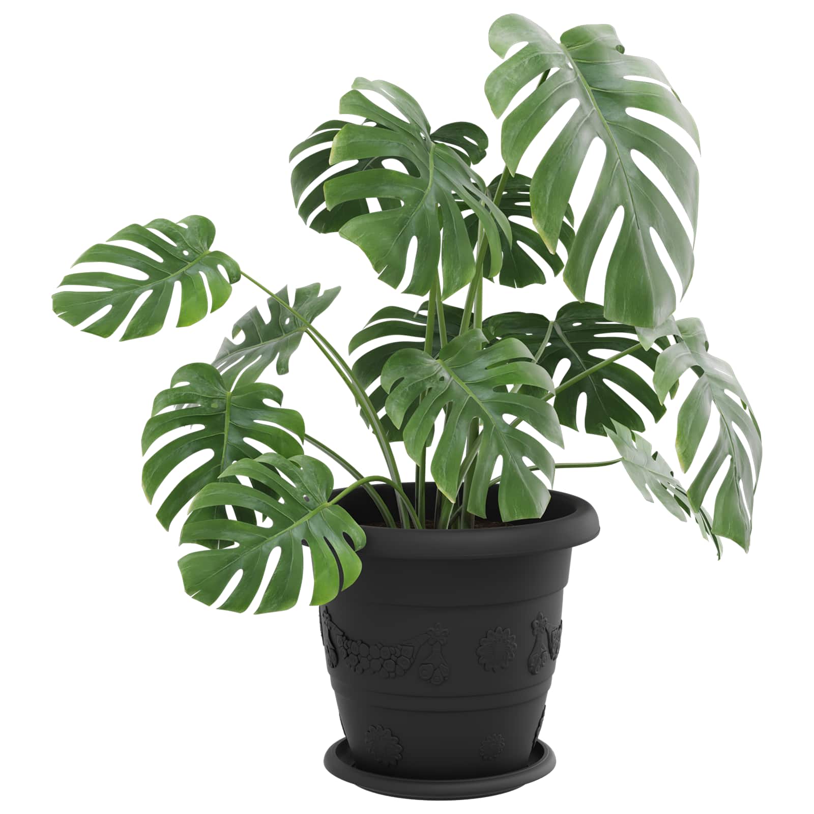 Taimepotid 6 tk Must Ø 26 x 21.5 cm Plastmass