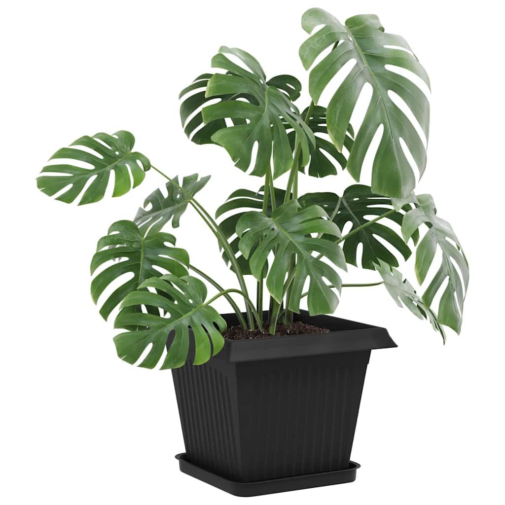 Taimepotid 24 tk Must Plastmass