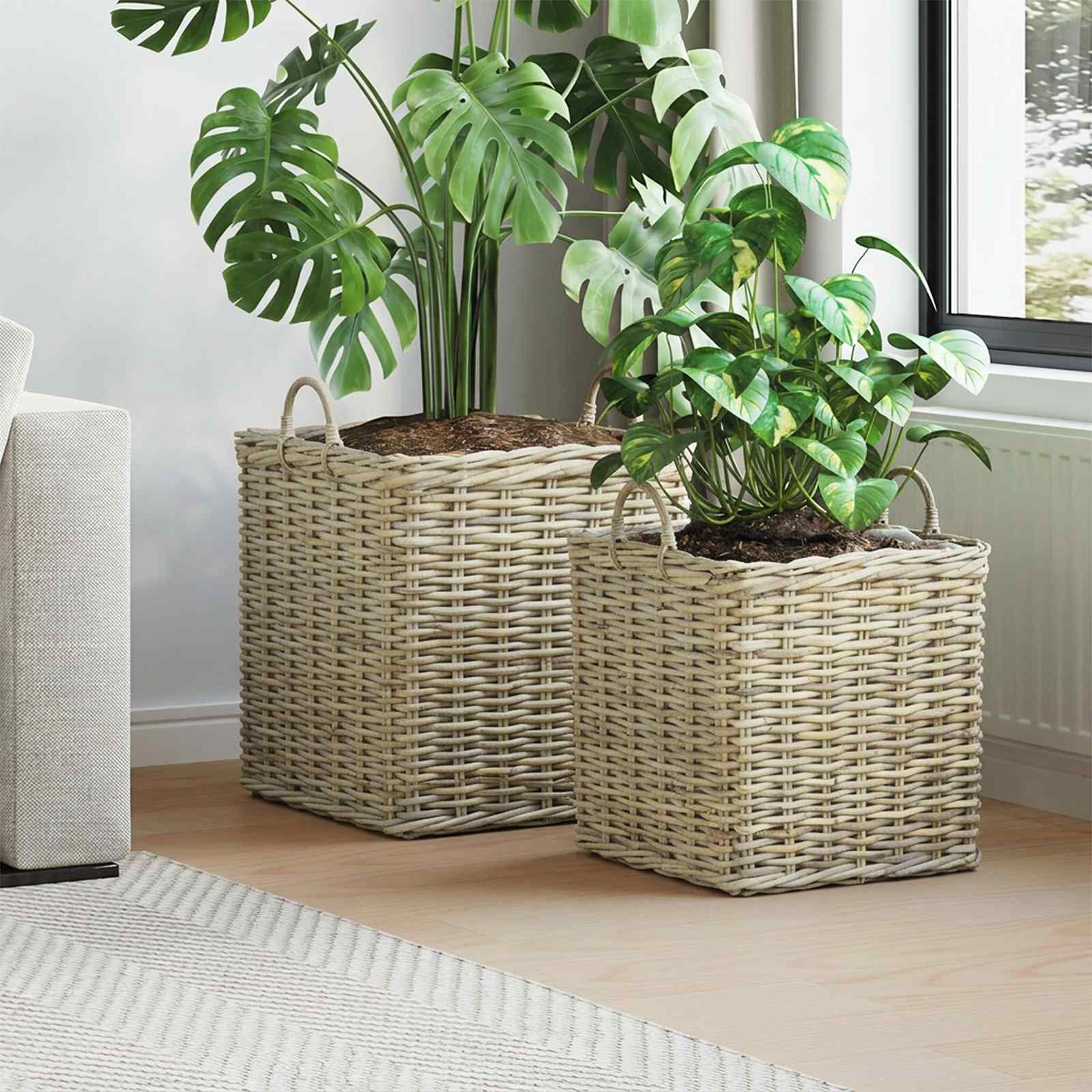 Potitaimede korv GENDT 2 tk Looduslik hall Kubu rattan