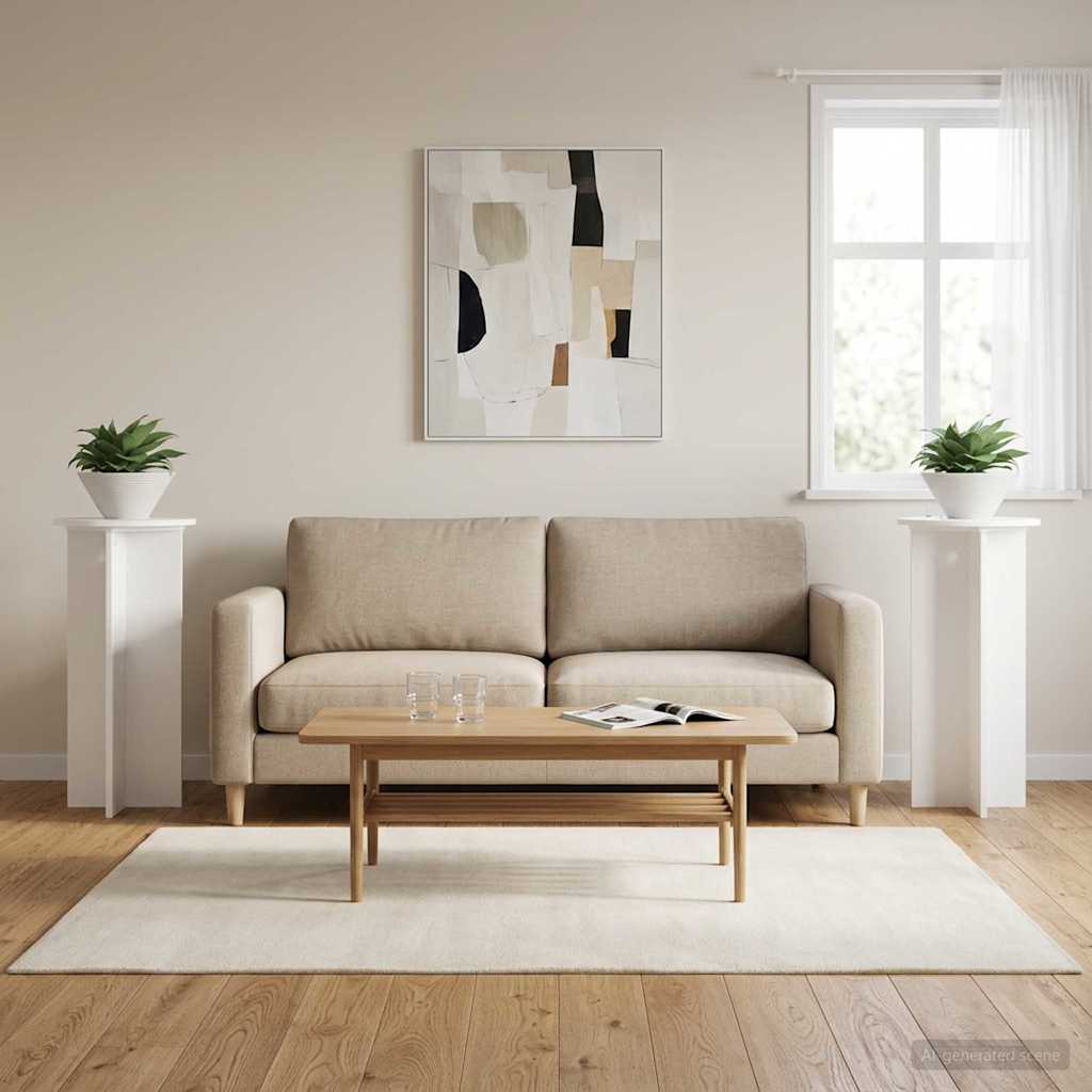 Taimede alus 2 tk Valge Ø40 x 80 cm Tehispuit