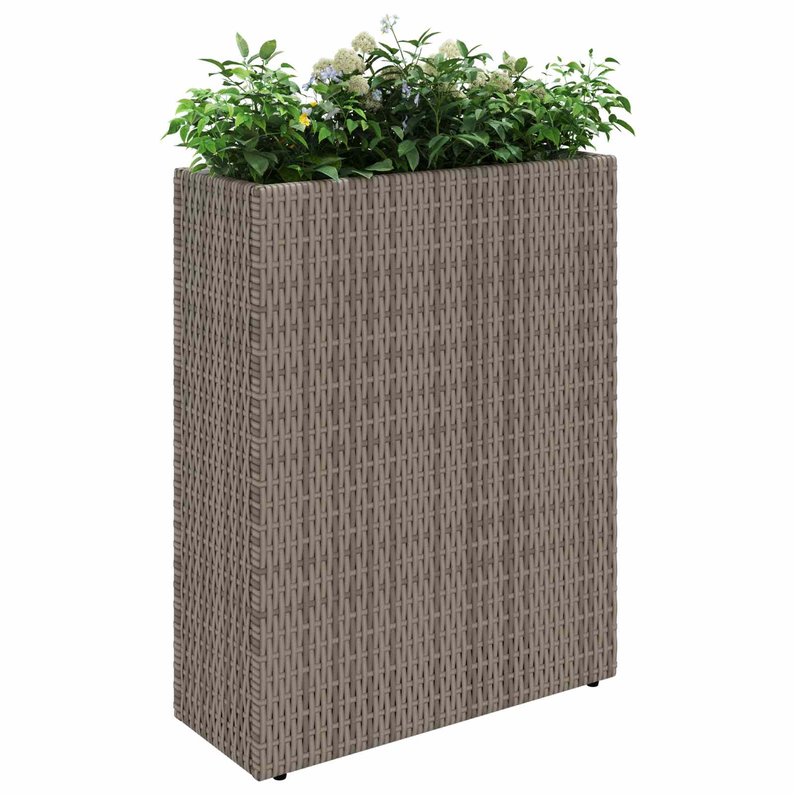 Kõrge istutusvokk Hall 55 x 22 x 70 cm polürotang