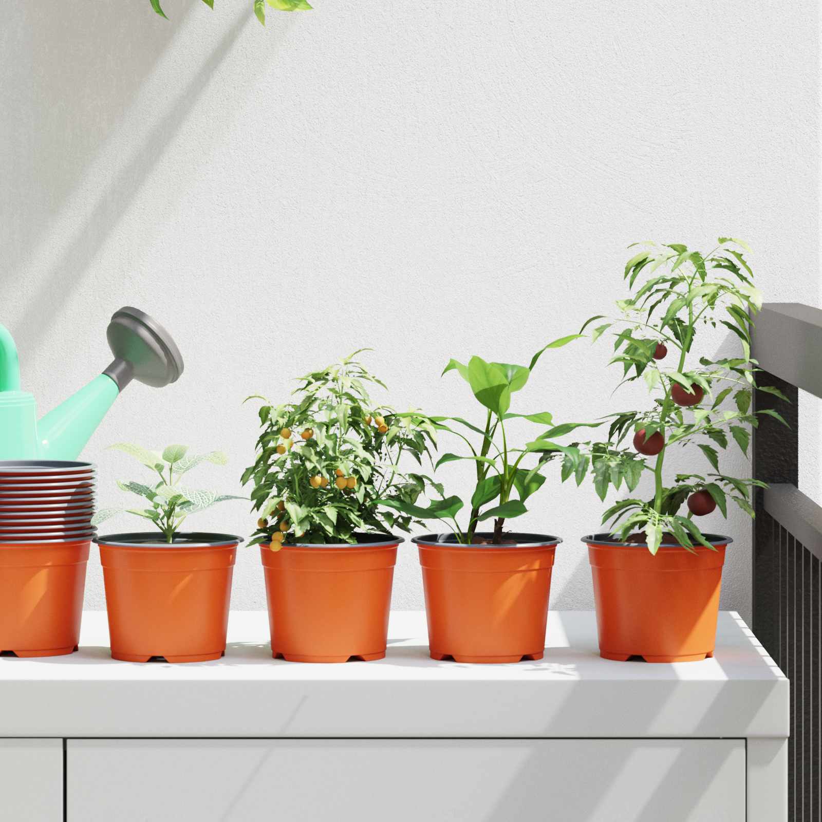 Ümmargune lillepott 50 tk Terrakota Ø 10 x 8 cm Plastmass