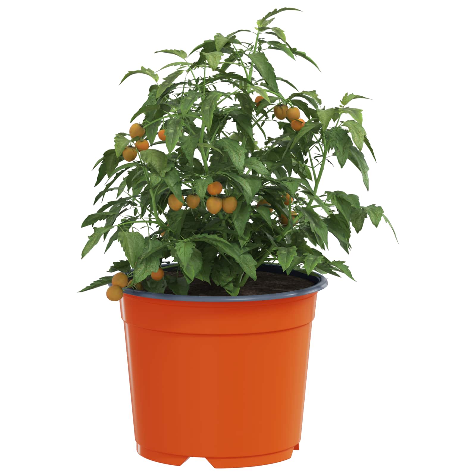 Ümmargune lillepott 50 tk Terrakota Ø 10 x 8 cm Plastmass