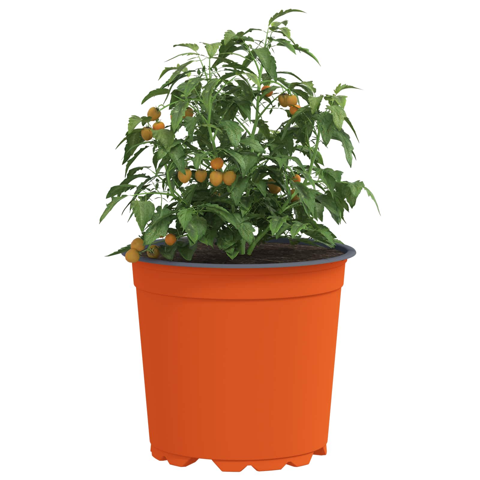 Ümmargune lillepott 50 tk Terrakota Ø 15 x 13 cm Plastmass